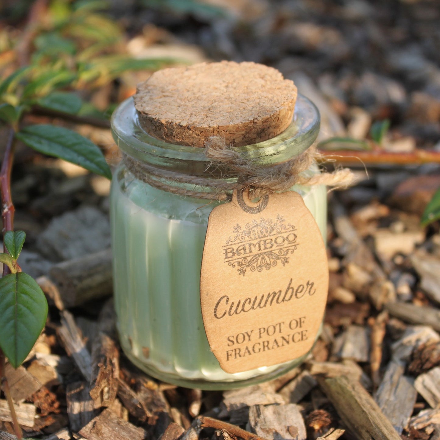 Cucumber Soy Pot Candle x2