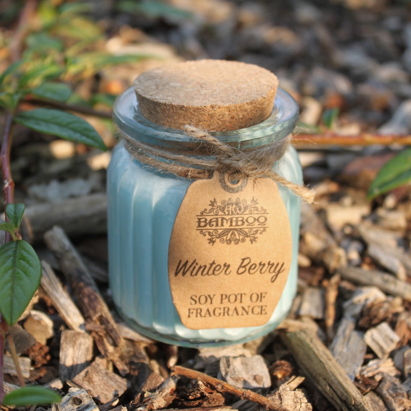 Winter Berry Soy Pot Candle x2