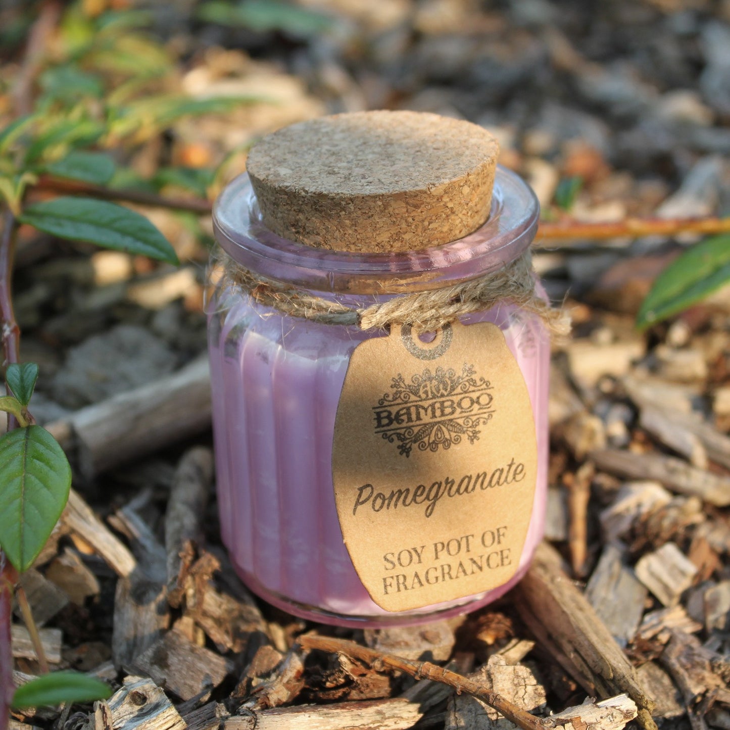 Pomegranate Soy Pot Candle x2