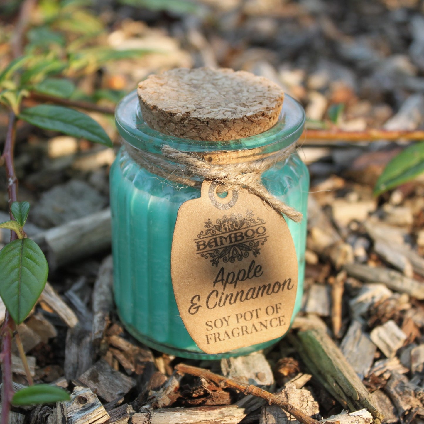 Apple & Cinnamon Soy Pot Candle x2