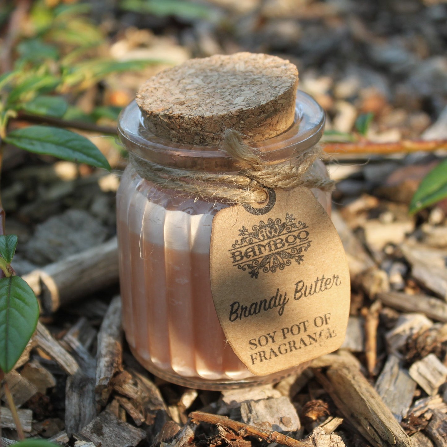Brandy Butter Soy Pot Candle x2