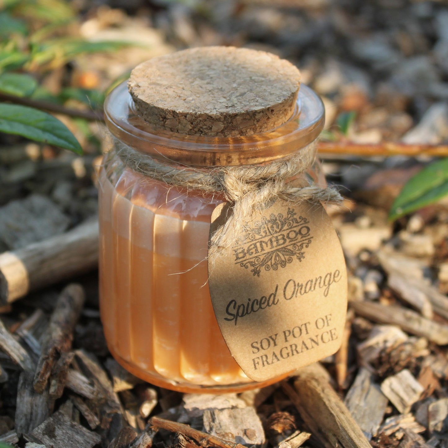Spiced Orange Soy Pot Candle x2