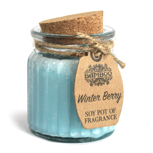 Winter Berry Soy Pot Candle