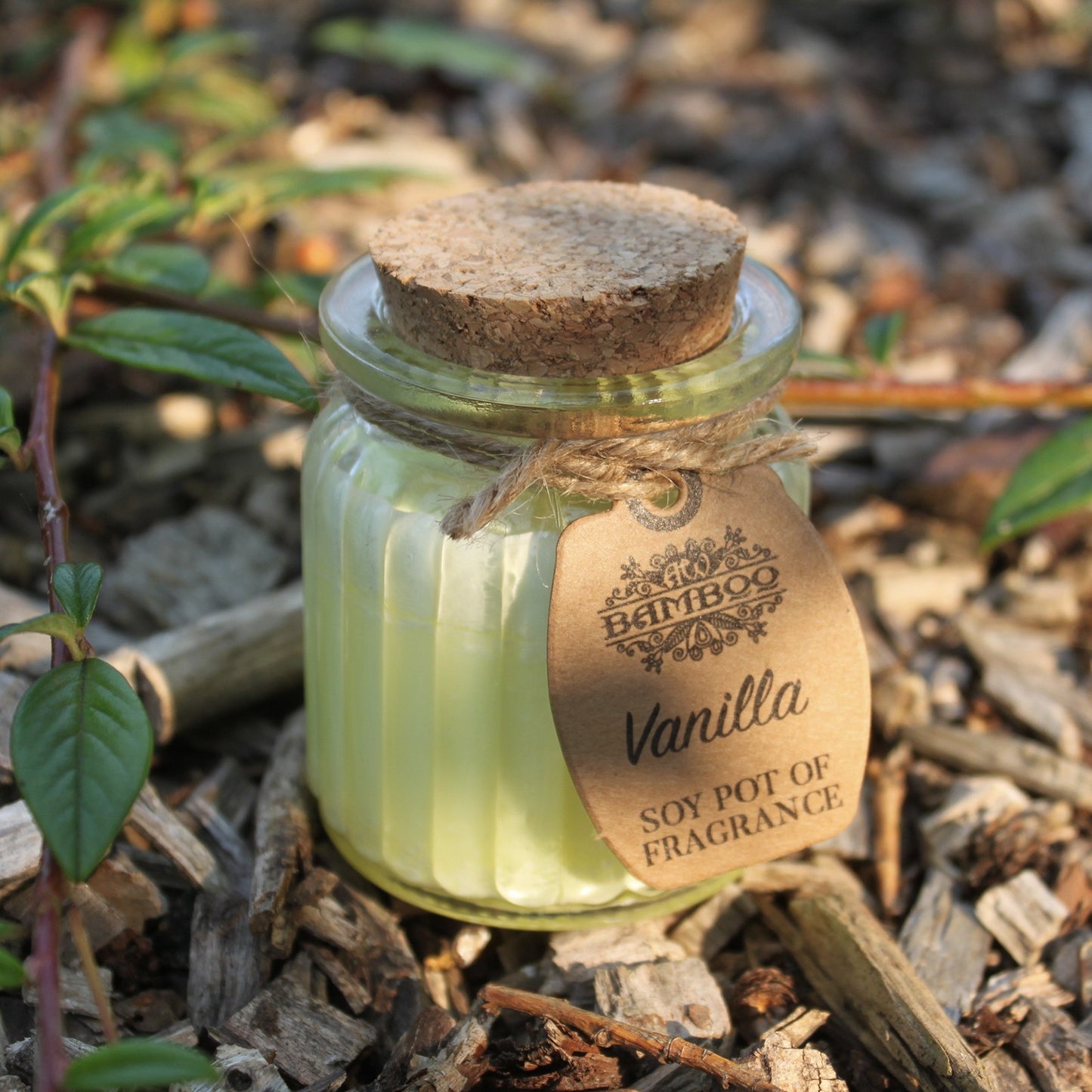 Vanilla Soy Pot Candle x2